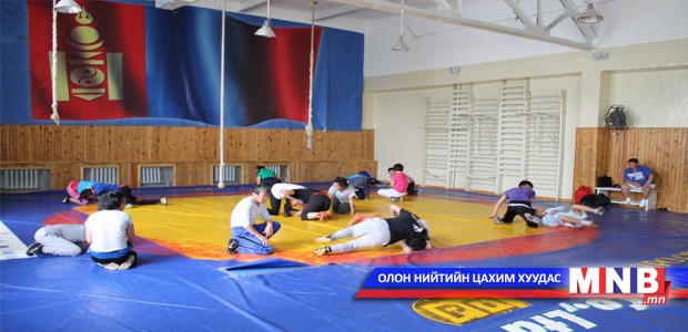 Чөлөөтийнхөн энэ онд 43 тэмцээнд зодоглоно