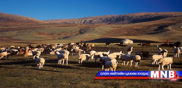 Архангайд бэлчээрийн хүрэлцээ муу байна