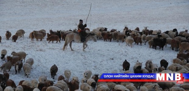 “Нийгмийн даатгалтай малчид” боллоо
