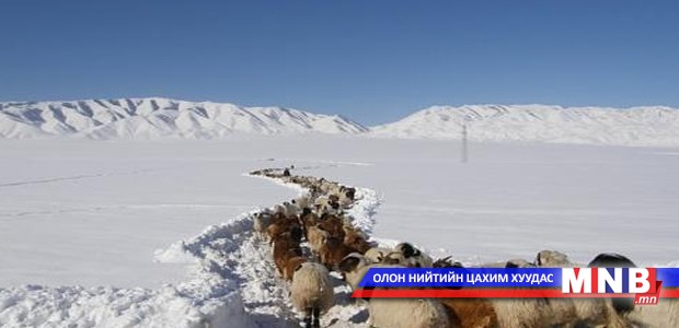 Дархан-Уул аймагт өвөлжилт хүндэрч байна