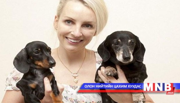 Генийн аргаар нохой хувилжээ