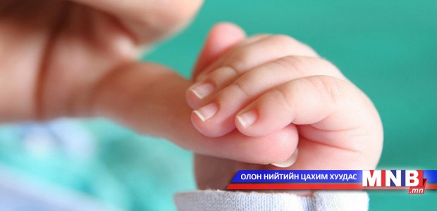 Гурван сая дахь иргэнд зориулж лого гаргажээ