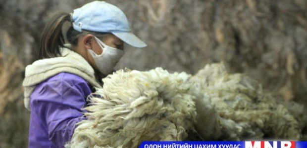 Ноосны урамшуулал үр дүнгээ өгч байна гэж үзжээ