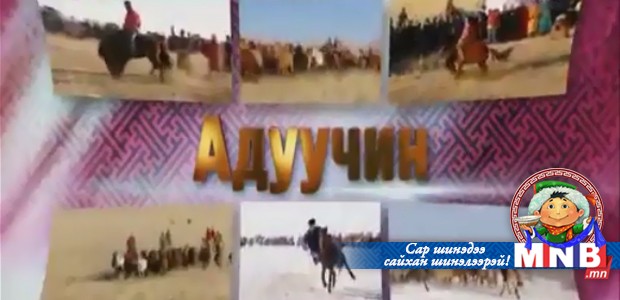 Адуучин