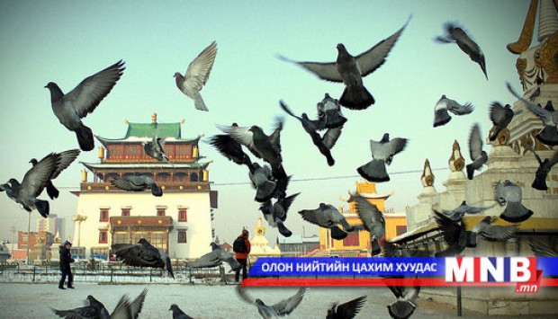 Гандангийн тагтаа нүүгээд дуусч байна