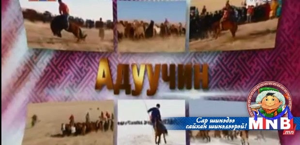 Адуучин /2015.02.20/