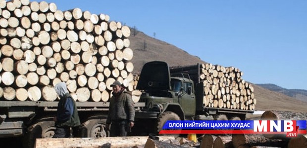 Сар шинийн өмнө хууль бусаар мод бэлтгэх нь ихэсдэг байна