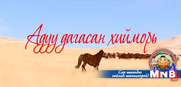 Адуу дагасан хийморь