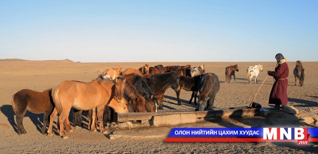 Зарим сумдад мал усгүйдэх хүндрэл гарчээ