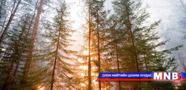 Төрхурахын аманд гарсан түймрийг унтраахаар ажиллаж байна