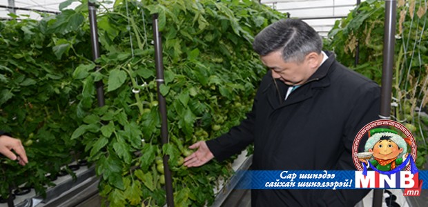 УИХ-ын дарга З.Энхболд ургамлын үйлдвэртэй танилцав