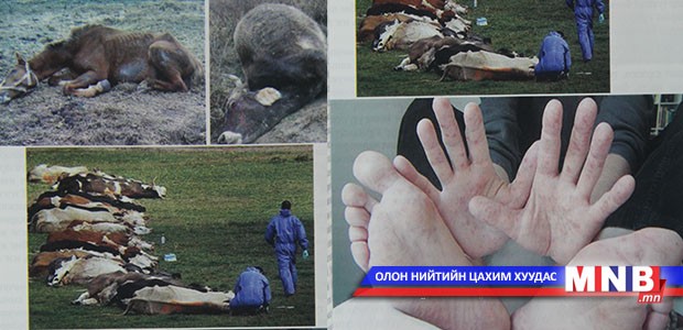 Боом аюултай халдварт өвчин мөн