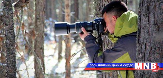 Туул голын сав газрын шувуудын төрх, аж байдал