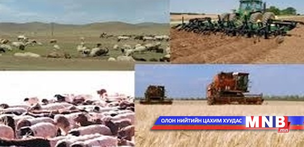 Хөдөө аж ахуйн мэргэжилтнүүд сургалтад хамрагдлаа