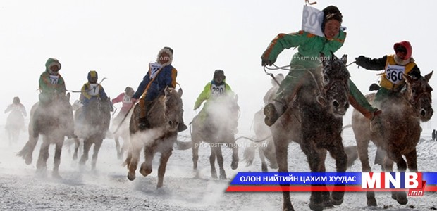 Морин уралдааны тухай шинэ хуулийн төсөл боловсруулжээ