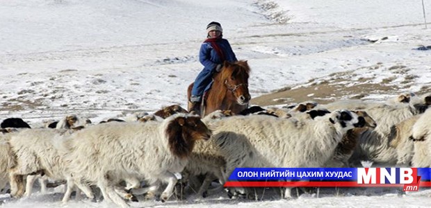 Архангай аймаг малынхаа тоогоор улсдаа тэргүүллээ