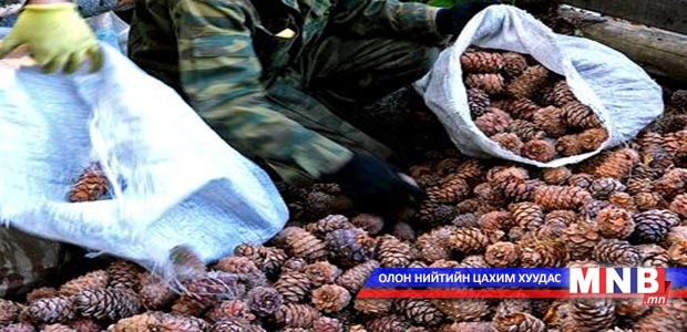 Самар түүх эрхийн бичгийг нэмж олгохгүй