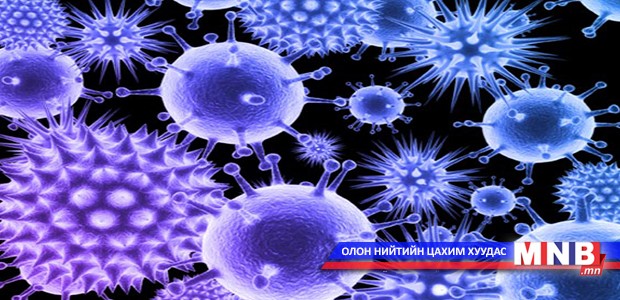 Герман улсад нас барсан гурван хүнээс “Bornavirus” илэрчээ