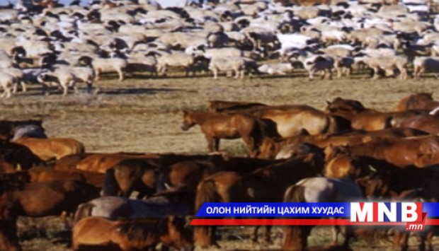 Улсын сайн малчин Ж.Энхжаргалтай ярилцлаа
