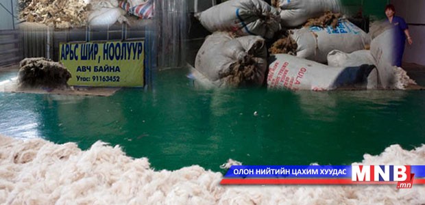 Нийслэл рүү анхан шатны боловсруулалт хийгээгүй ноосон түүхий эд оруулахгүй