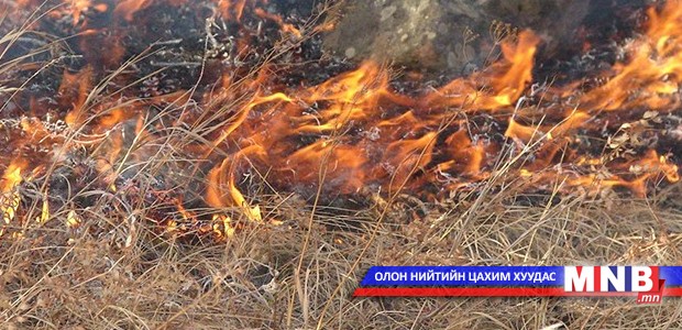 Ой хээрийн түймрийн давтамж ойртох тусам ургамлын төрөл зүйлд өөрчлөлт орж эхэлдэг