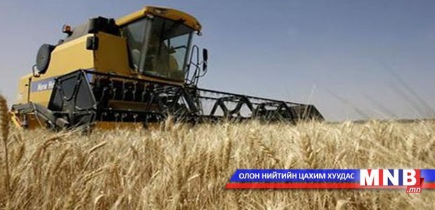 Дархан-Уул аймаг 18 мянган тонн буудай хураан авахаар төлөвлөжээ
