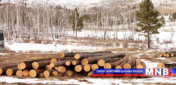 Хууль бус мод бэлтгэлийн талаар мэдээлэл өгсөн иргэнийг урамшуулдаг болно