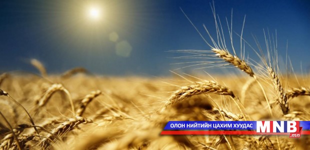 Үр тарианы урамшуулалд анхаарна