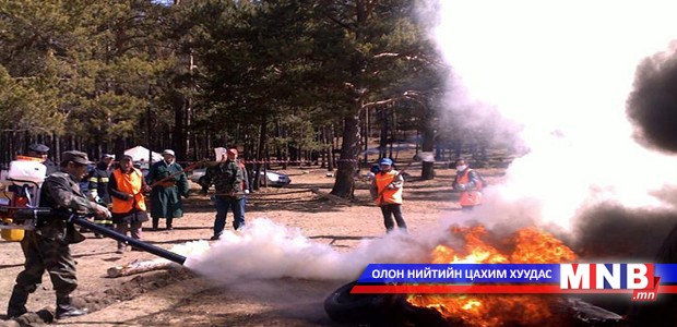 Түймрээс урьдчилан сэргийлэх үзлэг шалгалтыг ногоон бүсэд зохион байгуулна