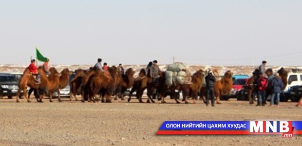 Өмнөговь аймаг энэ оныг “Малын өвчинтэй тэмцэх ажлыг эрчимжүүлэх жил” болгон зарлажээ