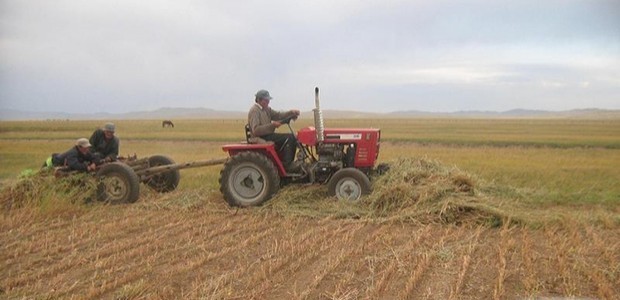 Хөвсгөл аймаг энэ жил 15 мянга орчим га-д тариалалт хийнэ