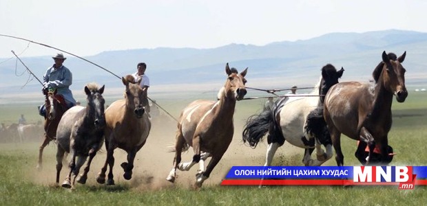 Сүүлийн жилүүдэд залуу малчдын тоо буурчээ