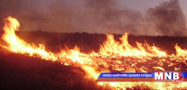 Архангай аймагт гарсан түймрийг цурманд оруулав