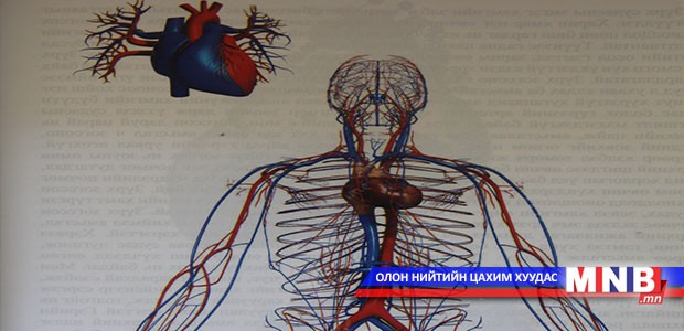 Зүрх ба цусны эргэлтийн тухай