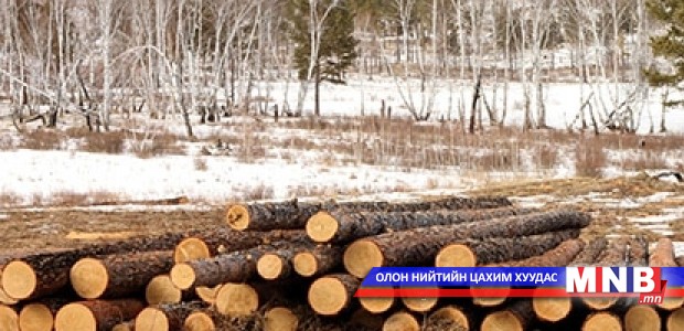 Нийслэлийн хэмжээнд хууль бус мод бэлтгэлээс урьдчилан сэргийлэх ажлыг эрчимжүүлнэ