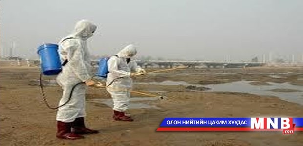 Малын халдварт өвчний тоо буурахгүй байна