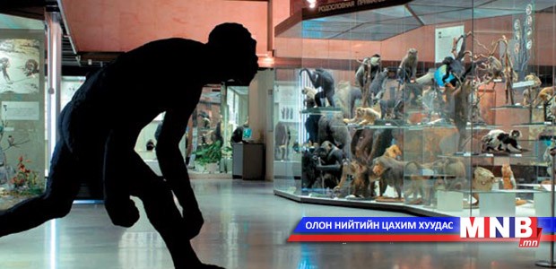 Олон улсын музейн өдөр тохиож байна