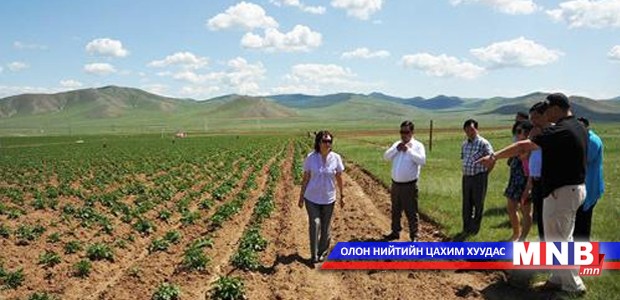 Сумдад газар тариалангийн үйлдвэрлэл сэргэж байна