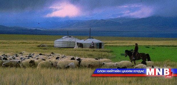 Малын индексжүүлсэн даатгал