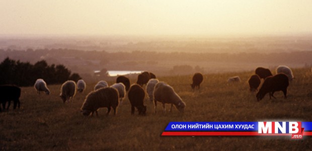 Манай улсын бэлчээрийн 60 гаруй хувь нь доройтжээ