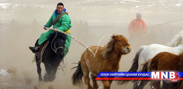 “Монгол адуучин-2015” гэрэл зургийн уралдаан зарлажээ