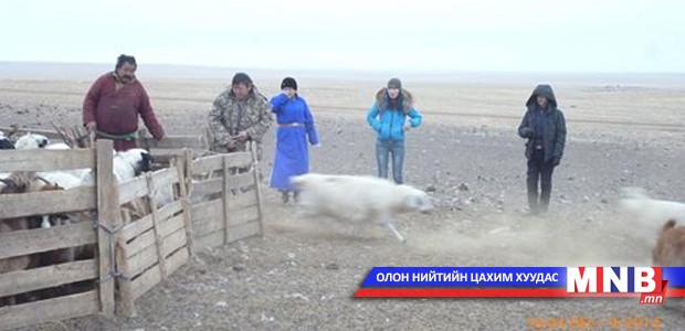 “Хагас жилийн малын түүвэр судалгаа” сэдэвт сургалт боллоо