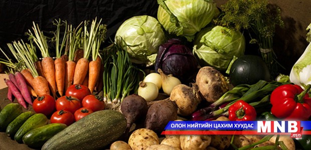 Хүнсний ногооны тариалалт зорилтдоо хүрээгүй гэв