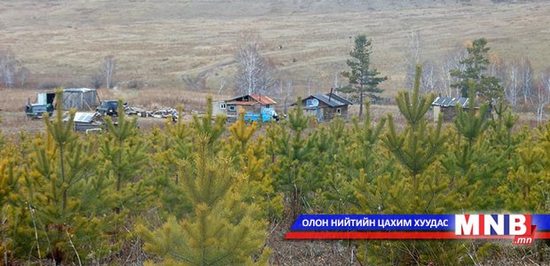 Ой сүйтгэж байсан иргэнд эрүүгийн хэрэг үүсгэжээ