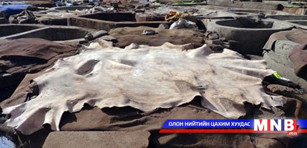 Арьс, ширний салбарынхан дотооддоо түүхий эдээ үйлдвэрлэж чадвал 1.1 их наядын ашиг олно