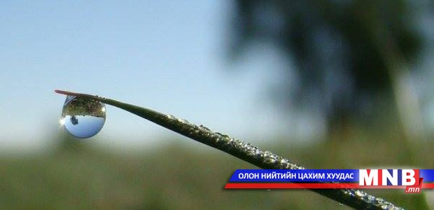 Хайку шүлгийн "Яргуй нүдлэх цаг" олон улсын кукайн дүн гарлаа