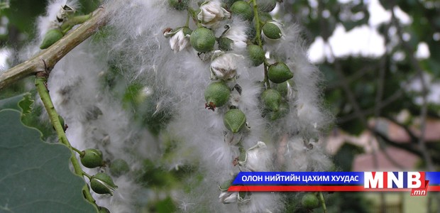 Унгарил нь харшил үүсгэхгүй