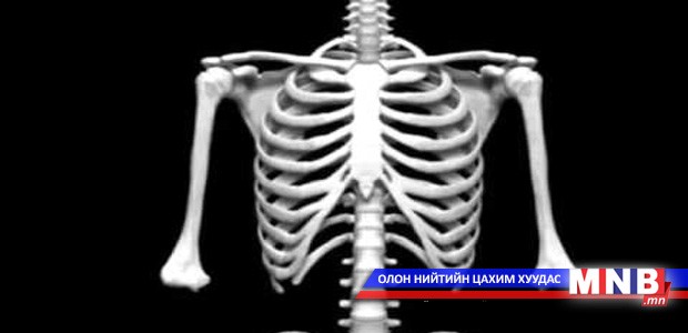Цавуулаг ширхэг ид шидтэй молекул