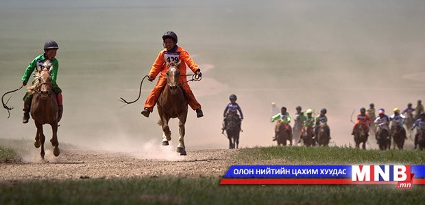 Наадмаар эрлийз морьдыг тусад нь уралдуулна