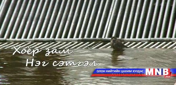 Хоёр зам нэг сэтгэл /2015.07.04/